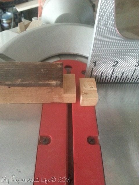 cut-front-facing